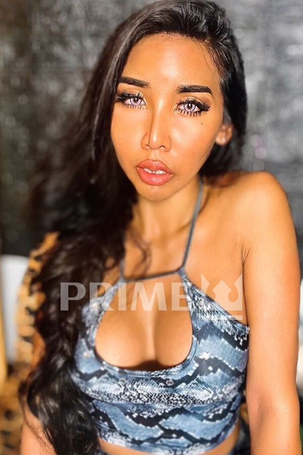 Ladyboy ShaSha